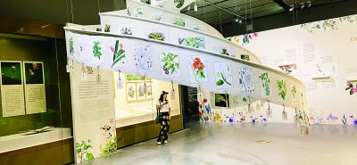 配资炒股服务中心 带你一起看大展｜东方嘉木&#32;跨越山海——“中国植物的力量”在京开展